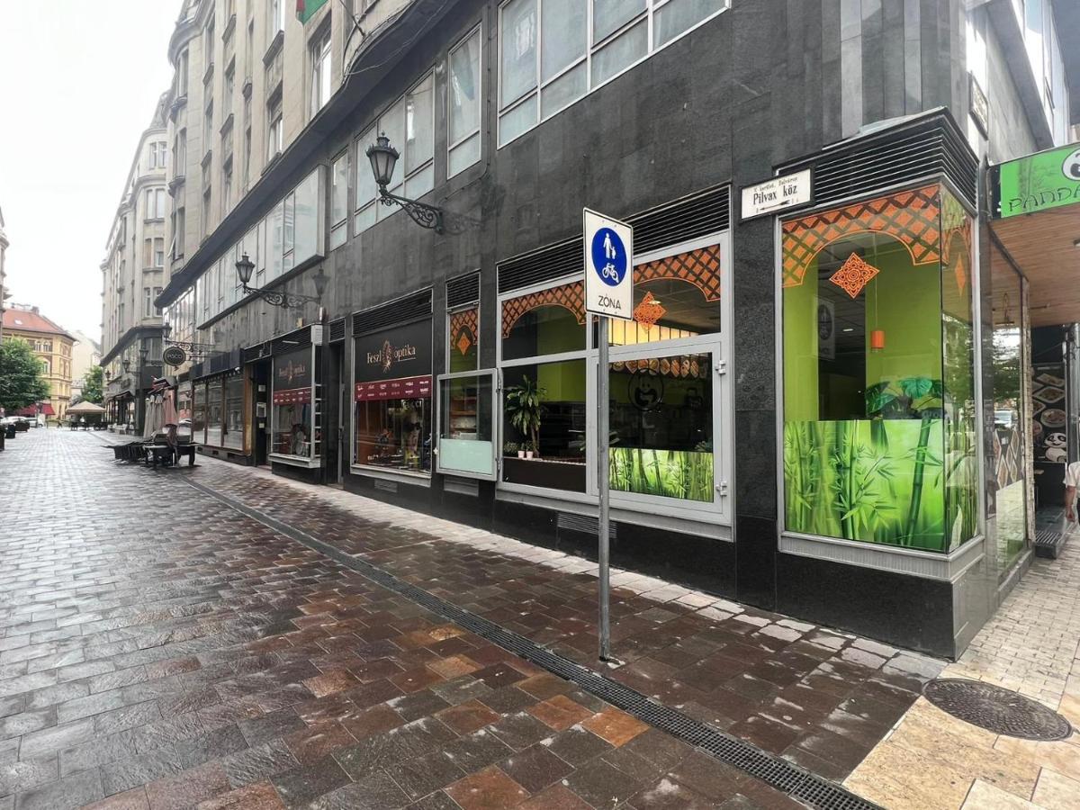 Pilvax Apartment Budapeşte Dış mekan fotoğraf
